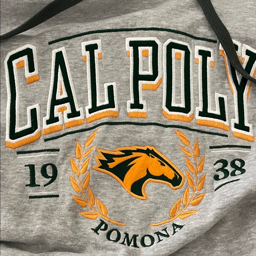 Cal Poly Pomona Y2K vintage Gray Hoodie OURAY Large - Picture 2 of 6